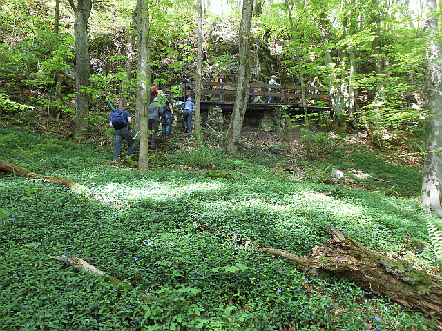 20130509Hersbruck02