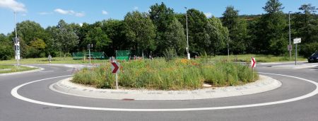 2019 06 08 Ebern Kreisel Bepflanzung 450 x 2019 06 08 Ebern Kreisel Bepflanzung 450 x