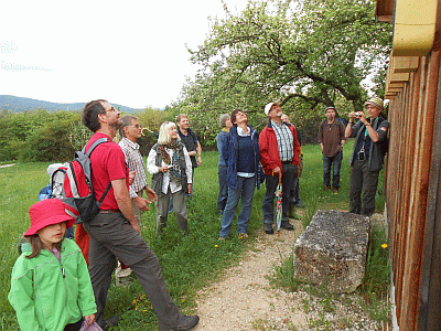 20130509Hersbruck03