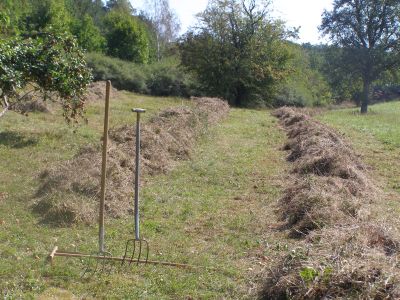 Landschaftspflege Hetschingsmhle 20150912a