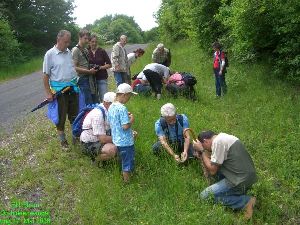 Orchideenwanderung20080517 (3a)