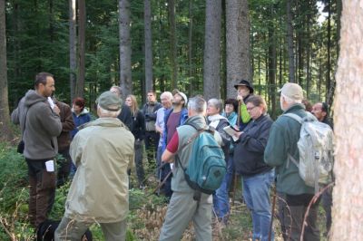 Waldgang Titel 2016