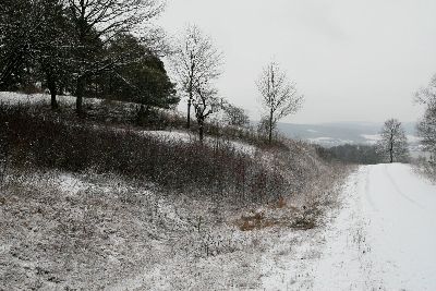 2012_01_21_LandschaftspflegeUeb-Platz (4)