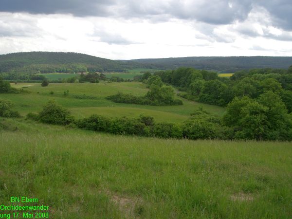 Orchideenwanderung20080517 (16)