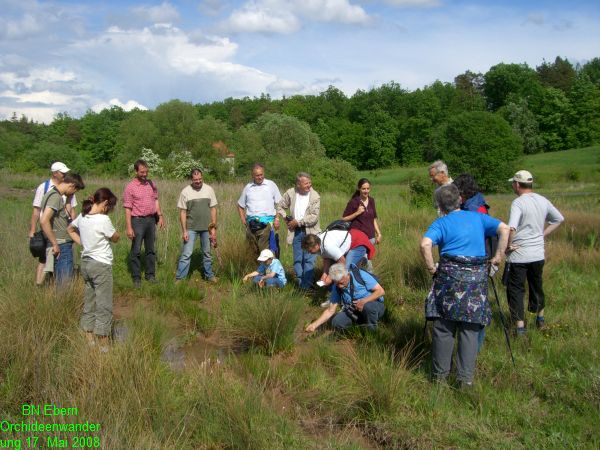 Orchideenwanderung20080517 (19)