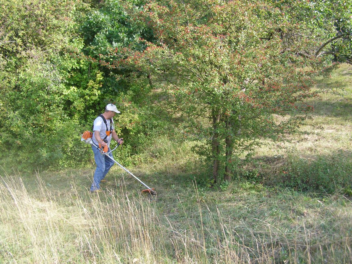 Hetschingsmuehle2015 (11)