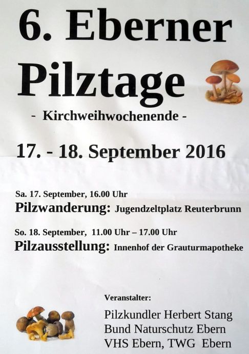Plakat 6.Pilztage 2016
