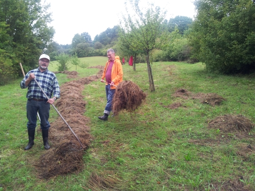 2014 09 13 Hetschingsmühle (2)