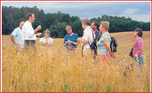 BNEbernBiohofKochBirkach20080706