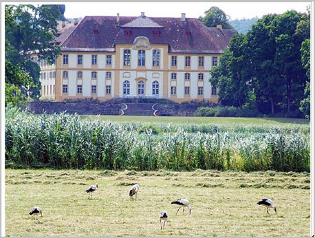 Stoerche_Rentweinsdorf