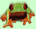 Frosch